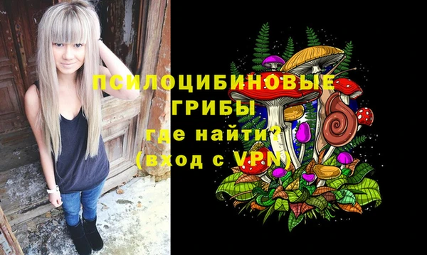 молекула духа Армянск