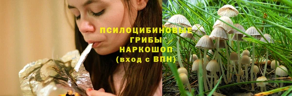 молекула духа Армянск